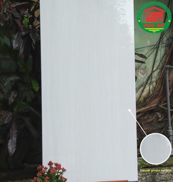 60x120 -61181023