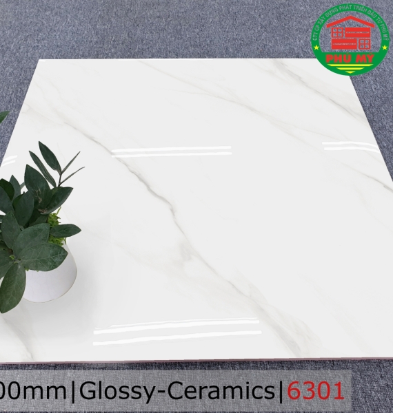 CERAMICS - BÓNG -  6301