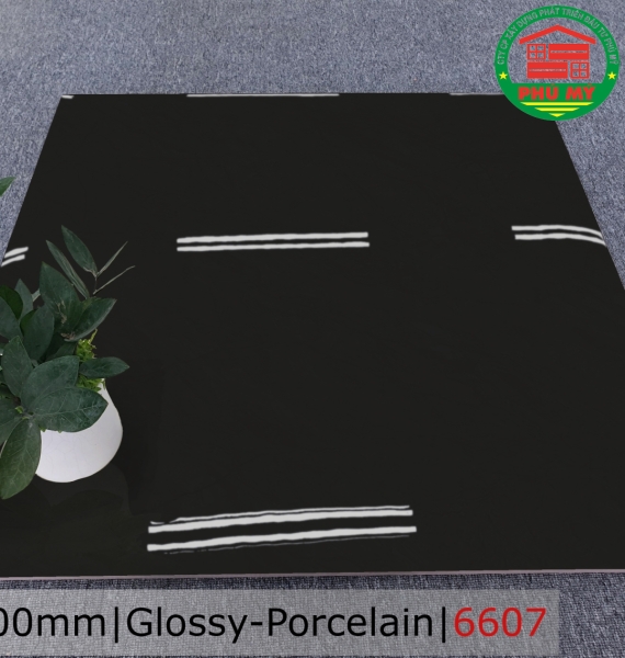 PORCELAIN - TITAN - 60x60 - 6607