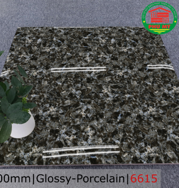 PORCELAIN - TITAN - 60x60 - 6615