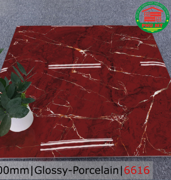 PORCELAIN - TITAN - 60x60 - 6616