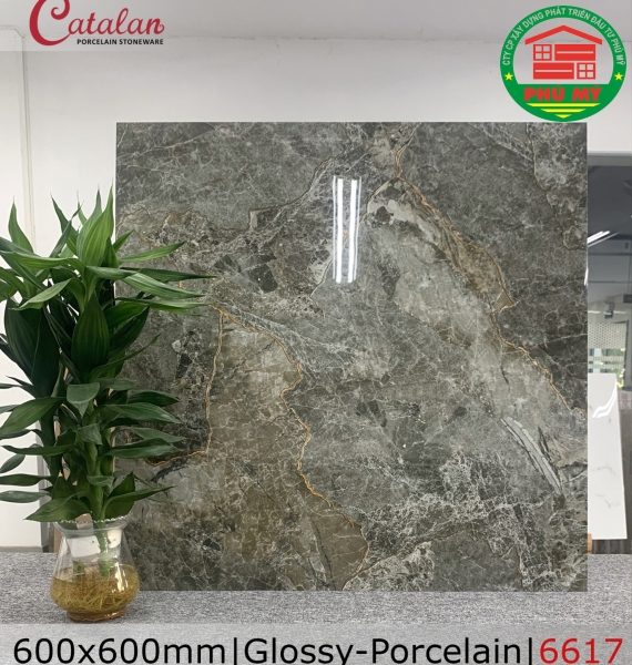 PORCELAIN - TITAN - 60x60 - 6617