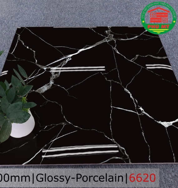 PORCELAIN - TITAN - 60x60 - 6620