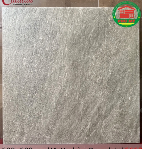 PORCELAIN - MATT - 60x60 - 6663