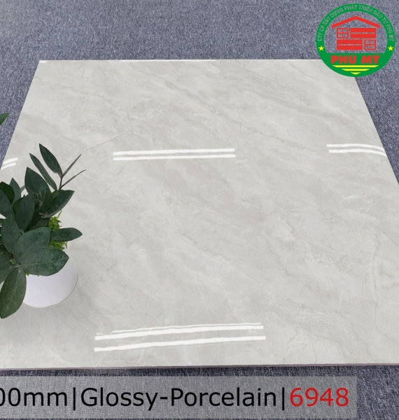 PORCELAIN - BÓNG - 60x60 - 6948