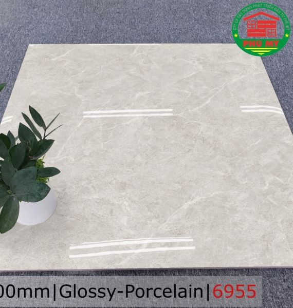 PORCELAIN - BÓNG - 60x60 - 6955