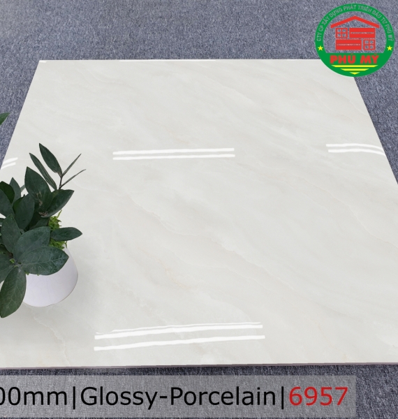 PORCELAIN - BÓNG - 60x60 - 6957
