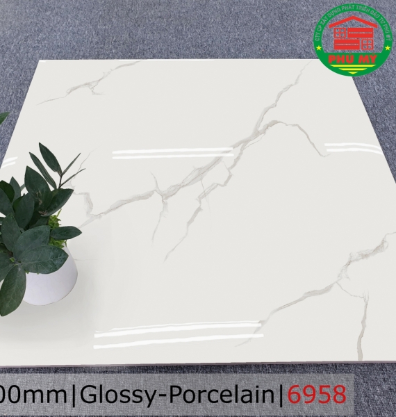 PORCELAIN - BÓNG - 60x60 - 6958