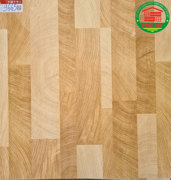 60x60-9665