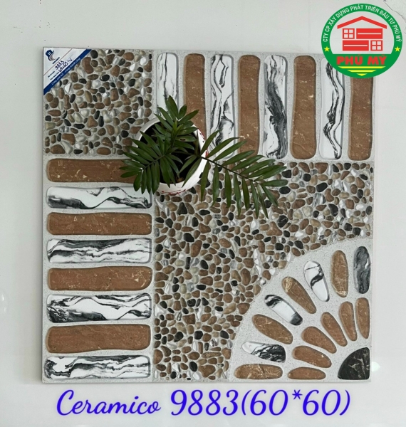 60x60-9883