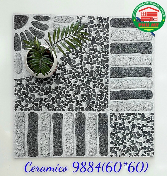 60x60-9886