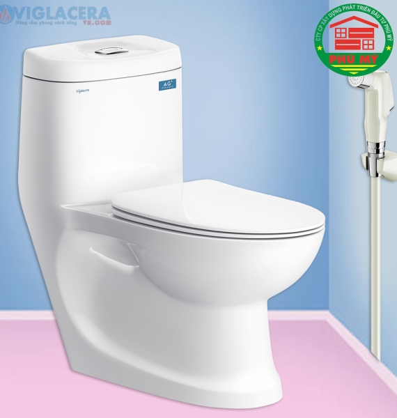 bàn cầu Viglacera C0504