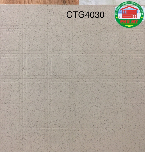 Thanh Thanh 40x40 - CTG4030