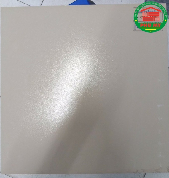 Thanh Thanh 40x40 - CTS4400