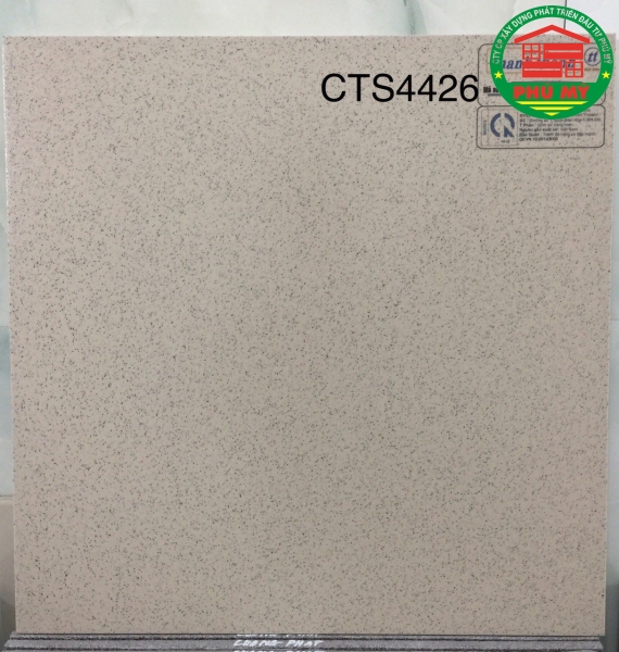 Thanh Thanh 40x40 - CTS4426