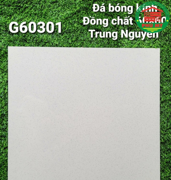 Vĩ Năng 60x60 - G60301