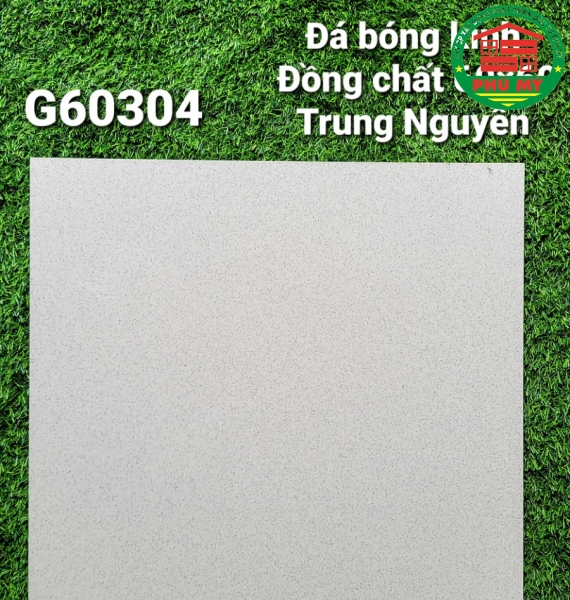 Vĩ Năng 60x60 - G60304