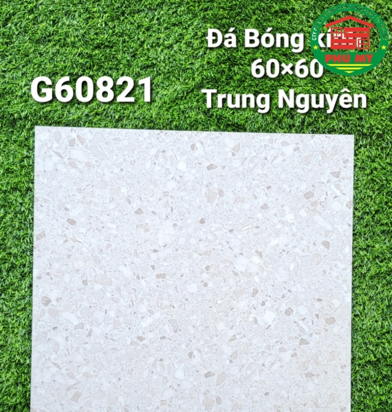 Vĩ Năng 60x60 - G60821