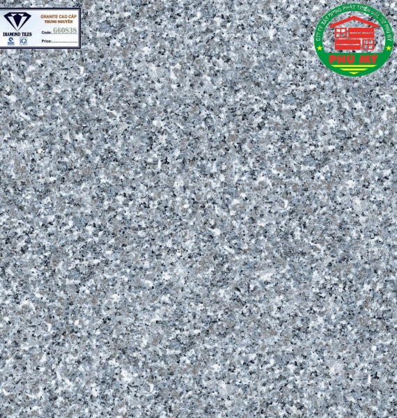 Vĩ Năng 60x60 - G60838