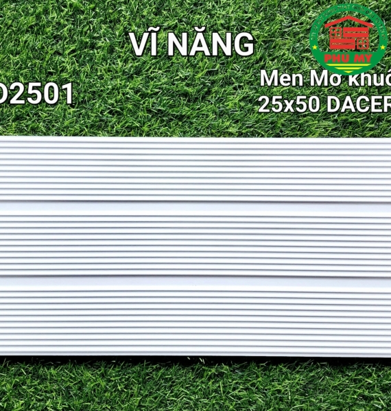 Vĩ Năng 25x50 - GD2501
