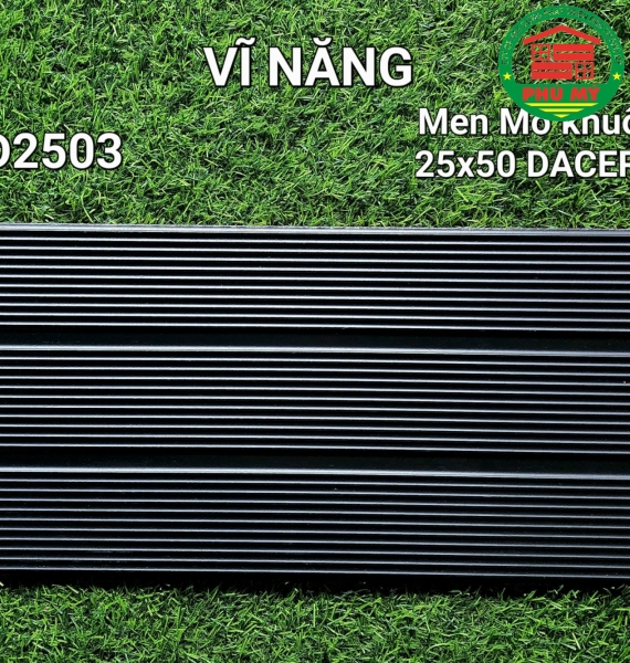 Vĩ Năng 25x50 - GD2503