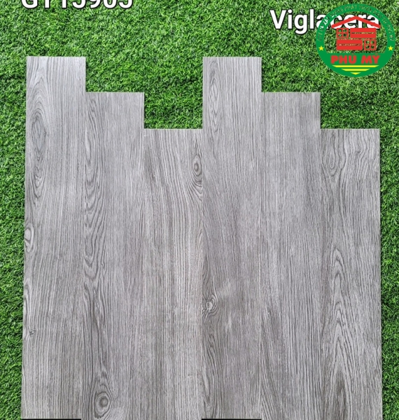 Vĩ Năng 15x90 - GT15905