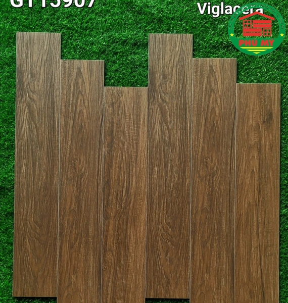 Vĩ Năng 15x90 - GT15907
