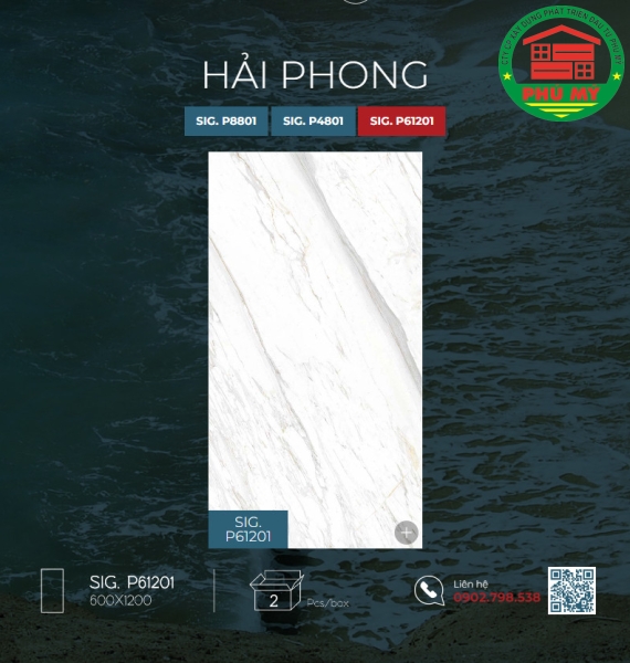 Hải Phong 60x120 - SIG.P61201