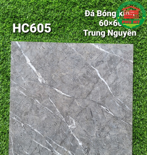 Vĩ Năng 60x60 - HC605