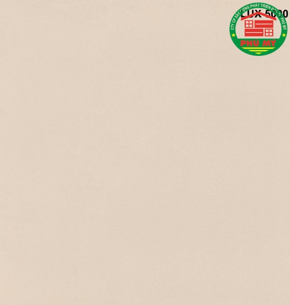 Thanh Thanh 50x50 - LUX5000