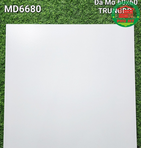 Vĩ Năng 60x60 - MD6680