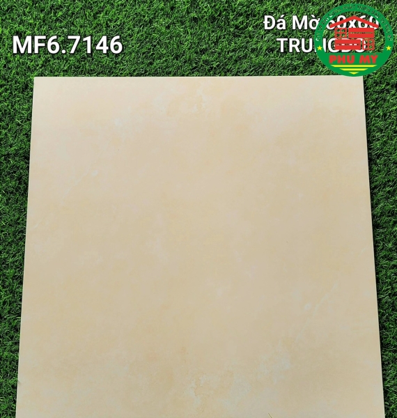 Vĩ Năng 60x60 - MF6.7146