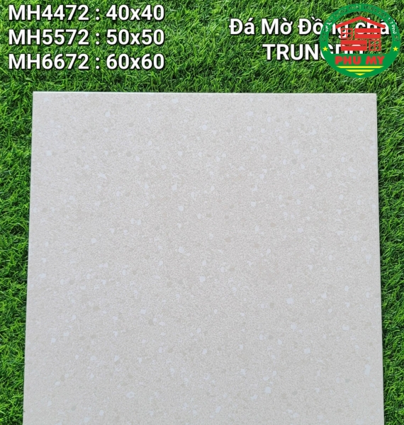 Vĩ Năng 60x60 - MH6672
