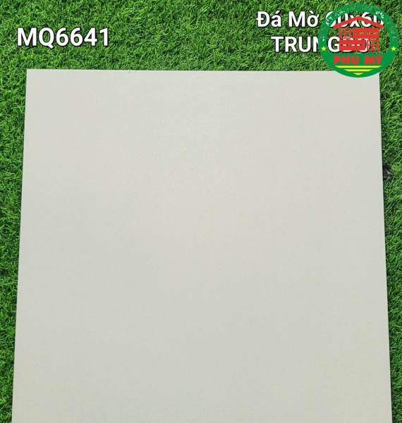 Vĩ Năng 60x60 - MQ6641
