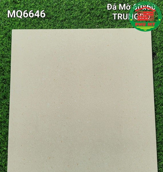 Vĩ Năng 60x60 - MQ6646