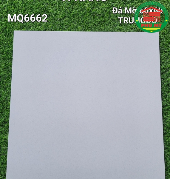 Vĩ Năng 60x60 - MQ6662