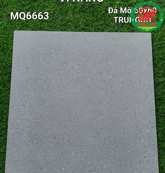 Vĩ Năng 60x60 - MQ6663