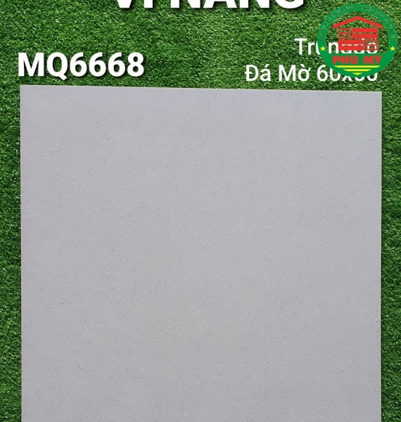 Vĩ Năng 60x60 - MQ6668