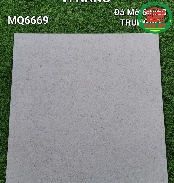 Vĩ Năng 60x60 - MQ6669