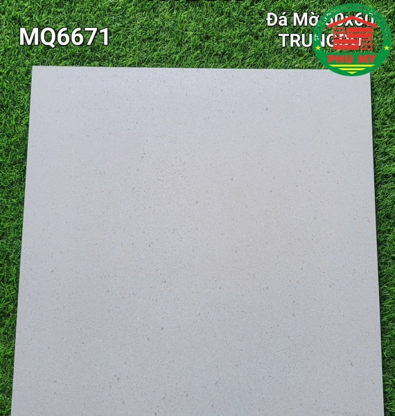 Vĩ Năng 60x60 - MQ6671