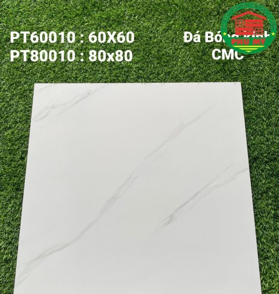 Vĩ Năng 60x60 - PT60010