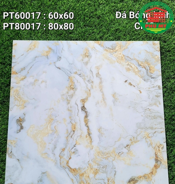 Vĩ Năng 60x60 - PT60017