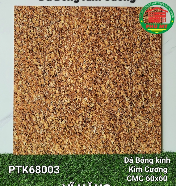 Vĩ Năng 60x60 - PTK68003