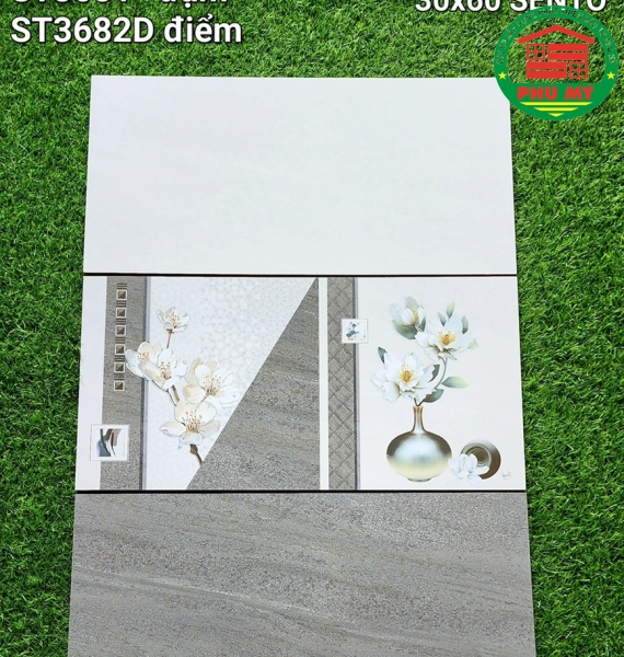 Vĩ Năng 30x60 - ST3680