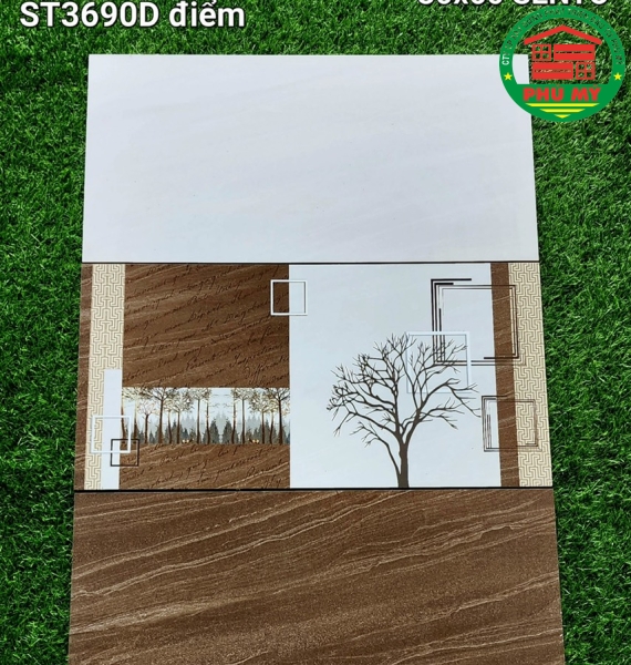 Vĩ Năng 30x60 - ST3688 