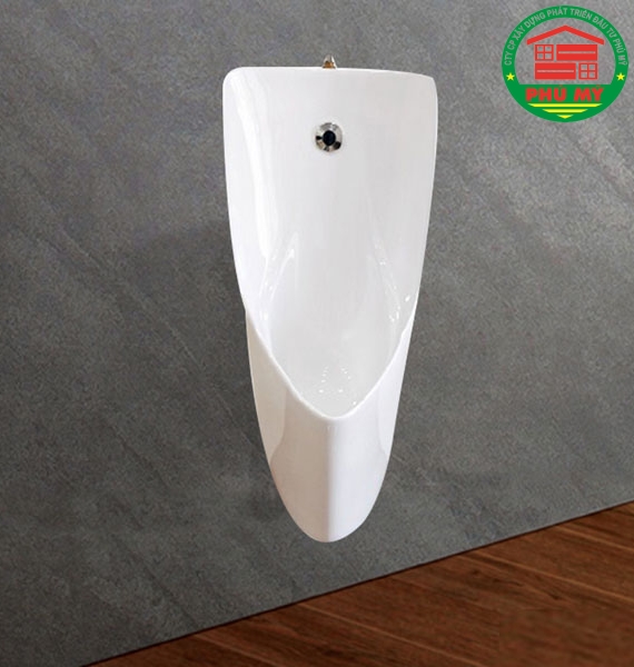 Tiểu nam Viglacera T6