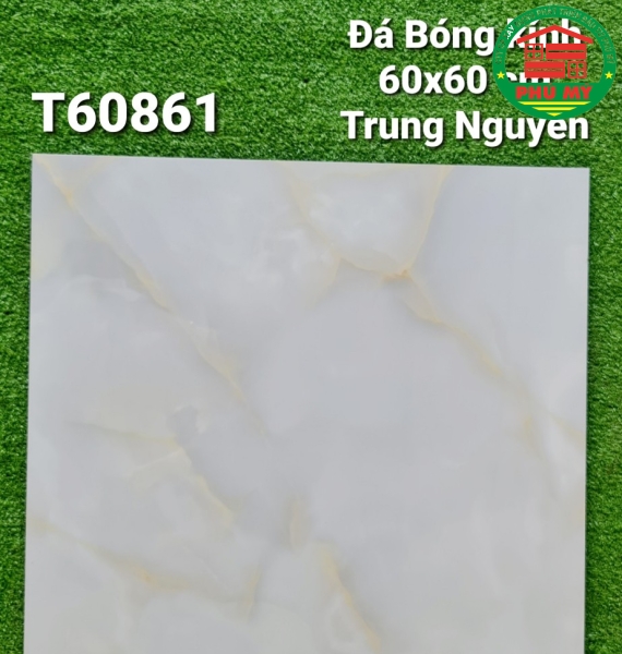 Vĩ Năng 60x60 - T60861