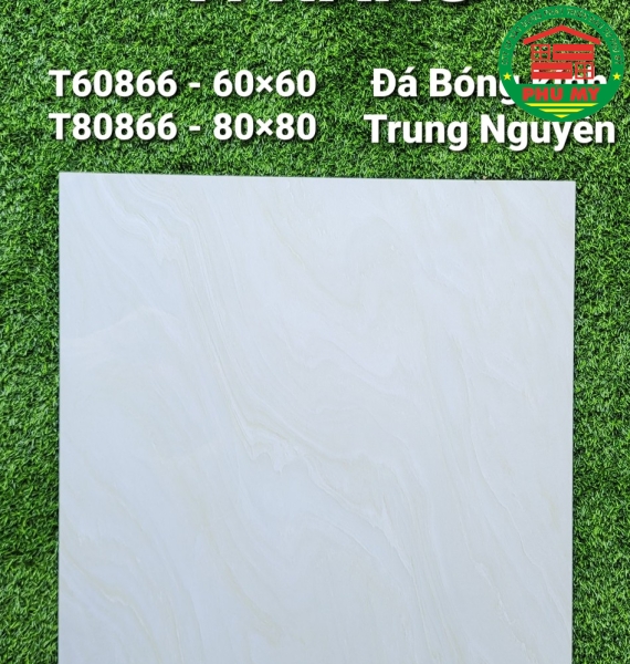 Vĩ Năng 60x60 - T60866