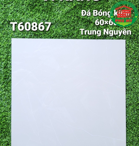 Vĩ Năng 60x60 - T60867