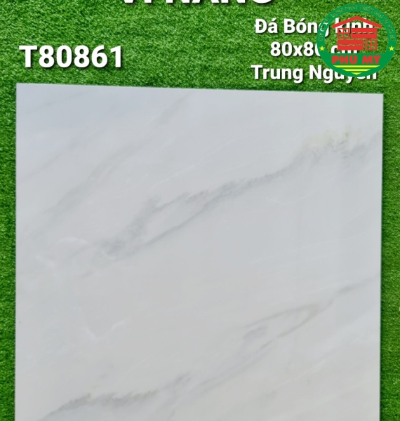 Vĩ Năng 80x80 - T80861